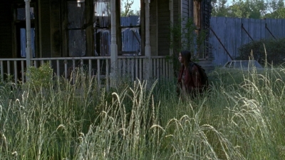 Click to view full size image
==============
twd0602-0383.jpg twd0602-0383.jpg