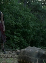 twd0602-0289.jpg