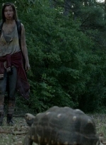 twd0602-0292.jpg