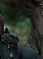 twd0602-0297.jpg