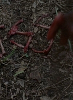 twd0602-0341.jpg