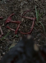twd0602-0342.jpg