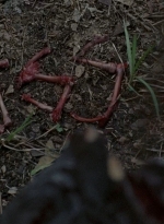 twd0602-0343.jpg