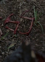 twd0602-0344.jpg