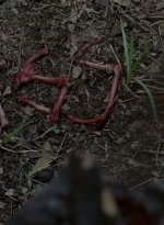 twd0602-0345.jpg