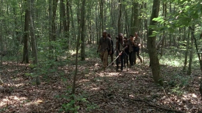 twd0603-0309.jpg