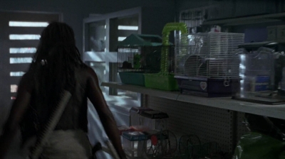 twd0603-2234.jpg