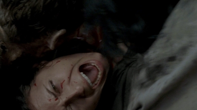 twd0603-2318.jpg