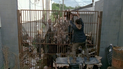 twd0603-2438.jpg