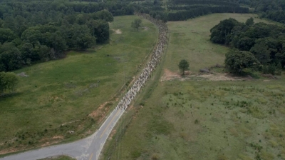 Click to view full size image
==============
twd0603-3529.jpg twd0603-3529.jpg