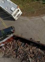 twd0603-2067.jpg