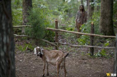 S06E04 - Here's Not Here
