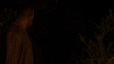 twd0604-0305.jpg