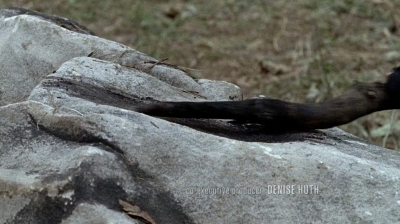 twd0604-0354.jpg