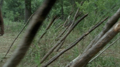 twd0604-0365.jpg