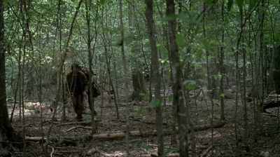 twd0604-0504.jpg