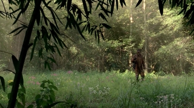 twd0604-0718.jpg