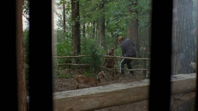 twd0604-1108.jpg