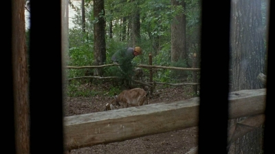 twd0604-1129.jpg