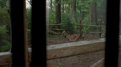 twd0604-1133.jpg