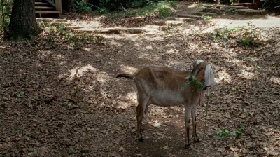 twd0604-1811.jpg