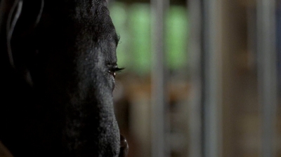 twd0604-2274.jpg