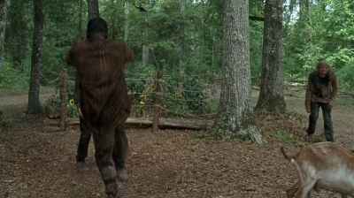 twd0604-2389.jpg