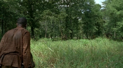 twd0604-2515.jpg