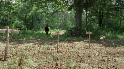 twd0604-2548.jpg