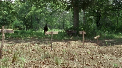 twd0604-2549.jpg
