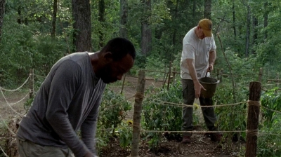 twd0604-2763.jpg
