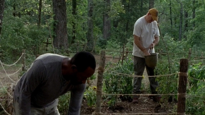 twd0604-2764.jpg