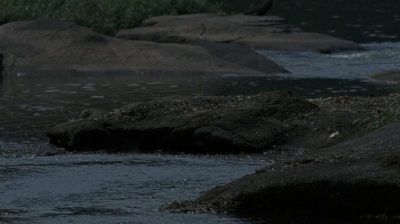 twd0604-2900.jpg