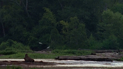 twd0604-3309.jpg
