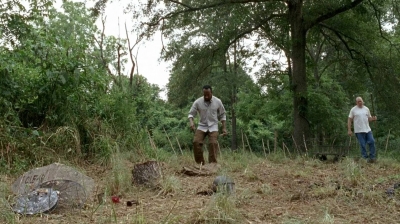 twd0604-3384.jpg