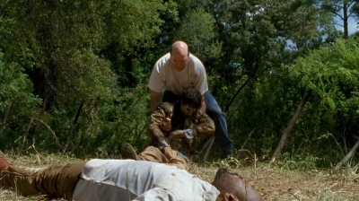 twd0604-3760.jpg