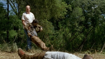 twd0604-3764.jpg