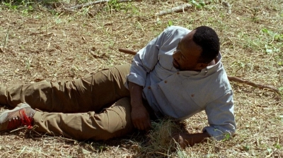 twd0604-3778.jpg