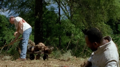 twd0604-3784.jpg