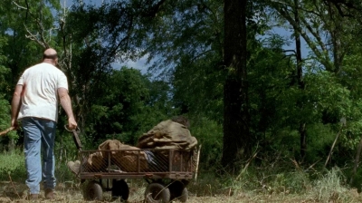 twd0604-3796.jpg