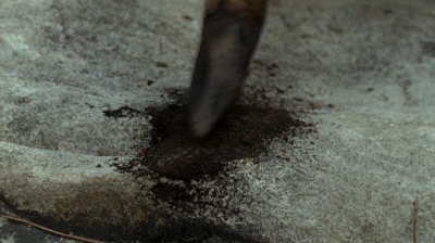 twd0604-3810.jpg