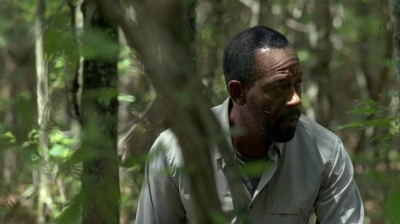 twd0604-3827.jpg