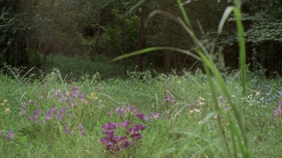 twd0604-3952.jpg