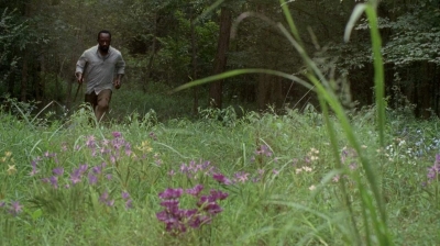 twd0604-3958.jpg