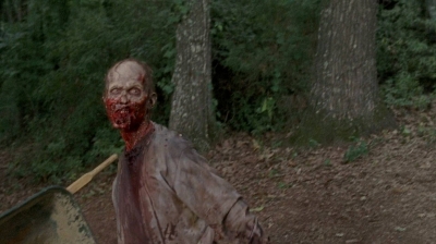 twd0604-3980.jpg