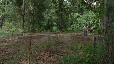 twd0604-3995.jpg