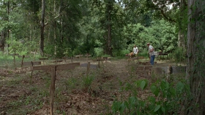 twd0604-4004.jpg