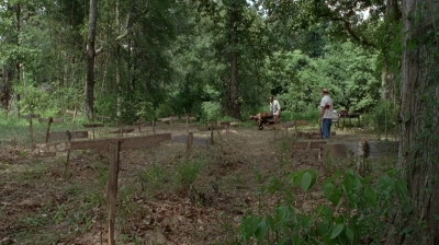 twd0604-4010.jpg