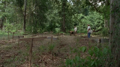 twd0604-4012.jpg
