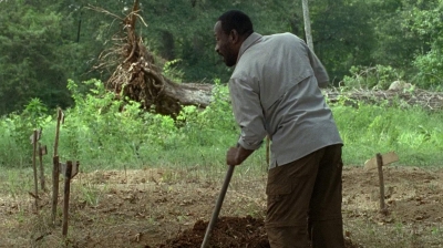 twd0604-4066.jpg